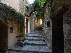 183 D23 BORMES LES MIMOSAS 1_000028
